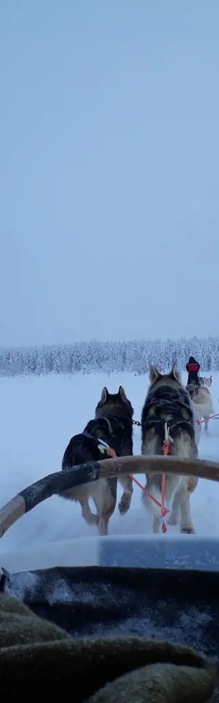 Winter in Finnisch Lappland